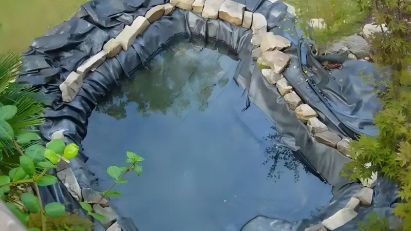 pond liner(1).webp